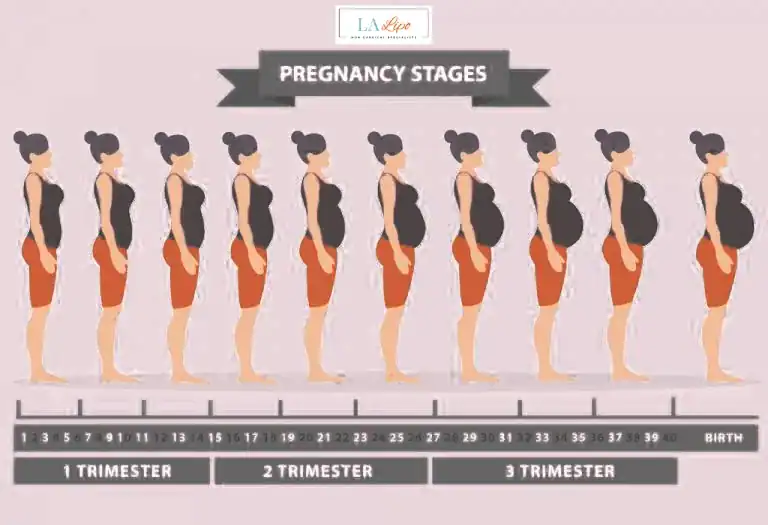 First Trimester (Weeks 1–12): Early Changes You Might Not Notice Greater London (Sutton)